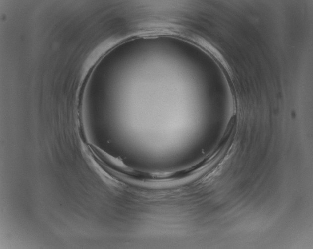X0000070221485200605301418