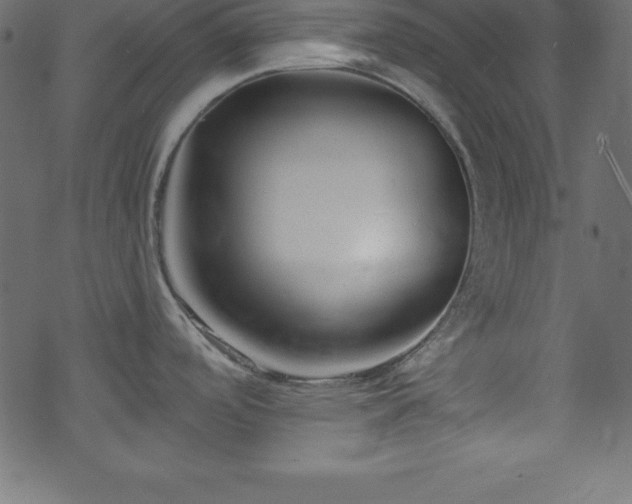 X0000070221488200605301418