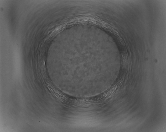 X0000070221489200605301417