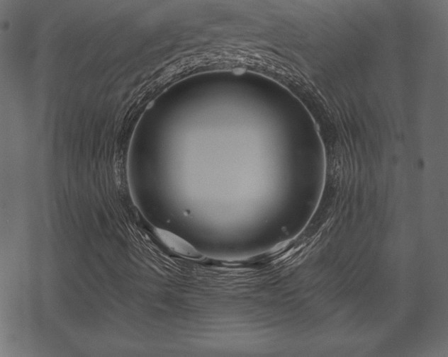 X0000070221490200605301417