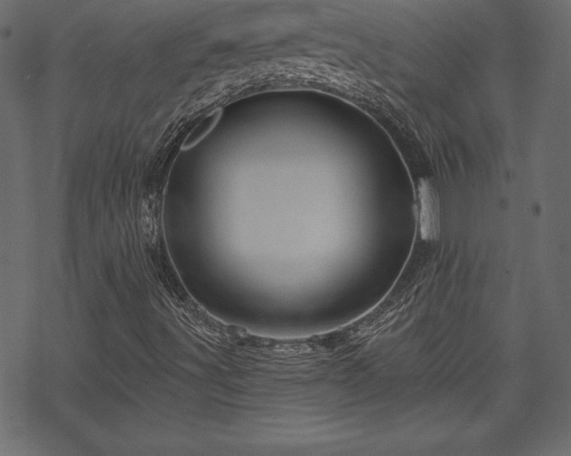 X0000070221491200605301417