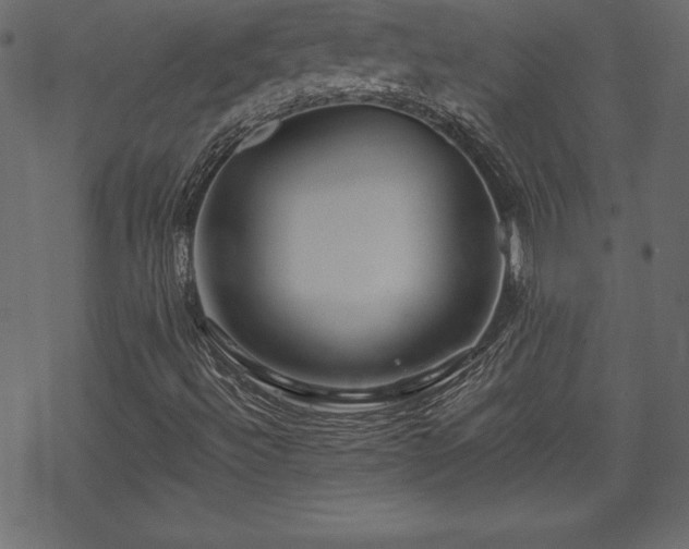 X0000070221492200605301417