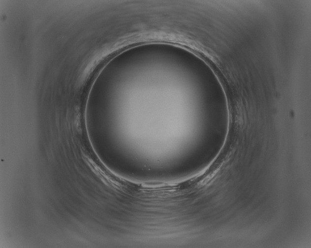 X0000070221499200605301417