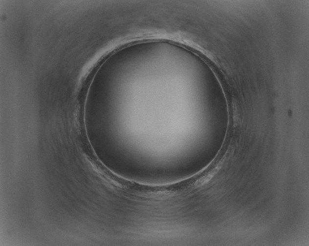 X0000070221502200605301418