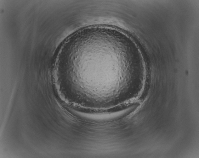 X0000070221505200605301418