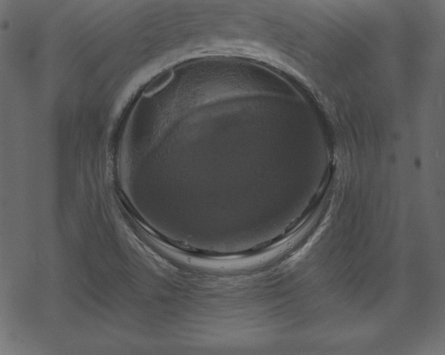 X0000070221506200605301418