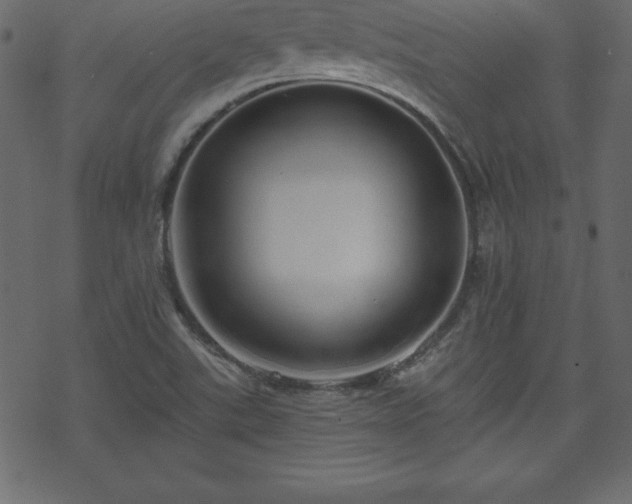 X0000070221507200605301418