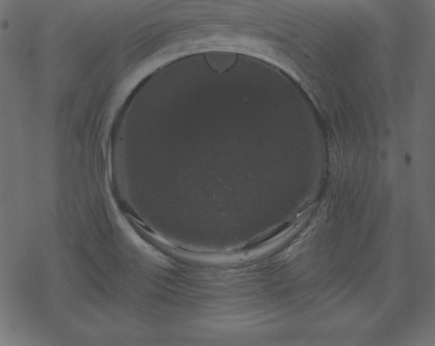 X0000070221515200605301418