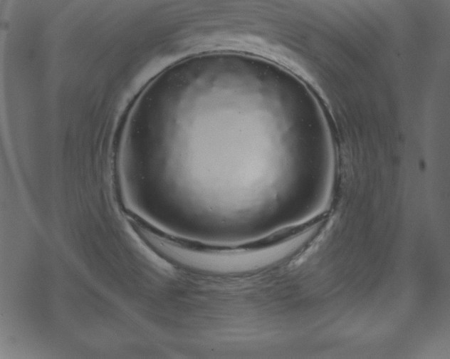 X0000070221525200605301418