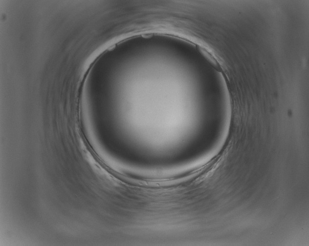 X0000070221534200605301418