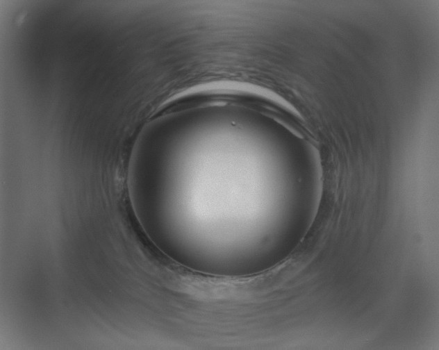 X0000070220040200606021333