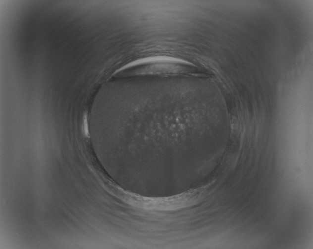 X0000070220046200606021332