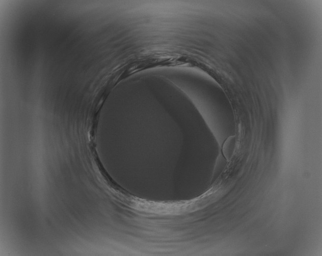 X0000070220048200606021332