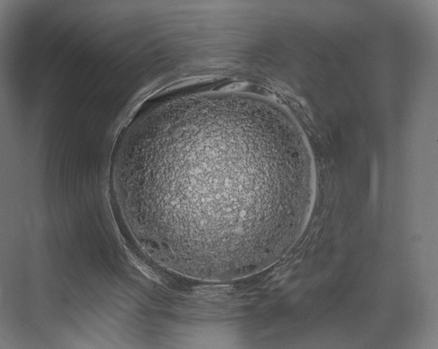 X0000070220051200606021332