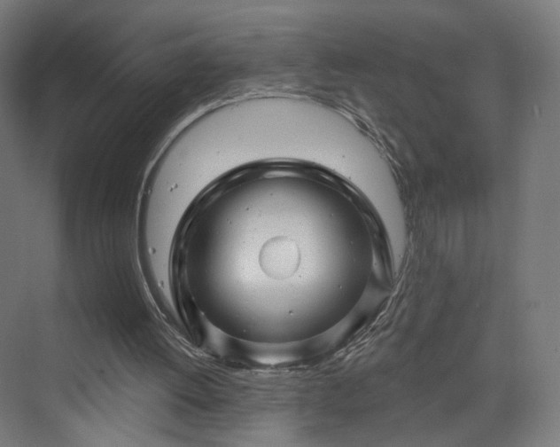X0000070220052200606021332