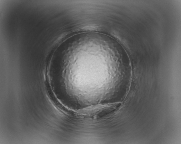 X0000070220062200606021332