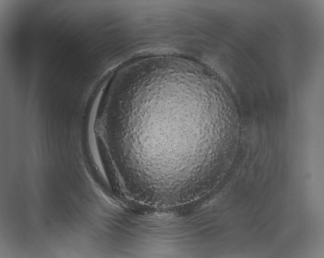 X0000070220063200606021332
