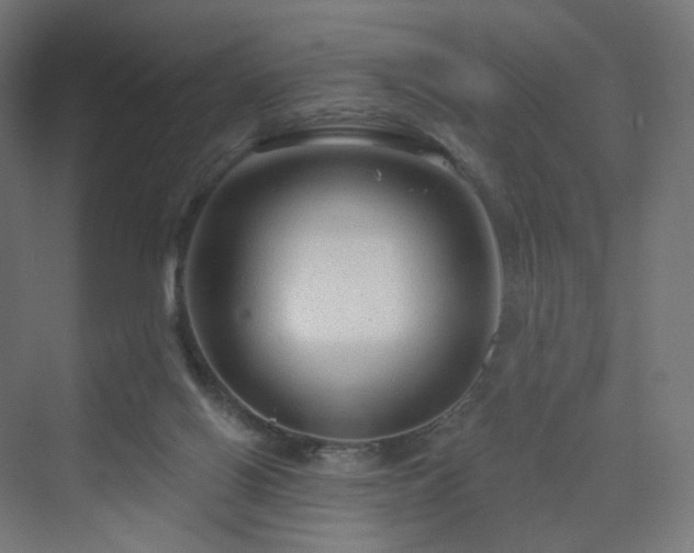 X0000070220070200606021332