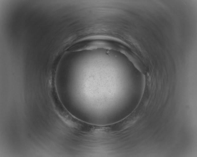 X0000070220072200606021332