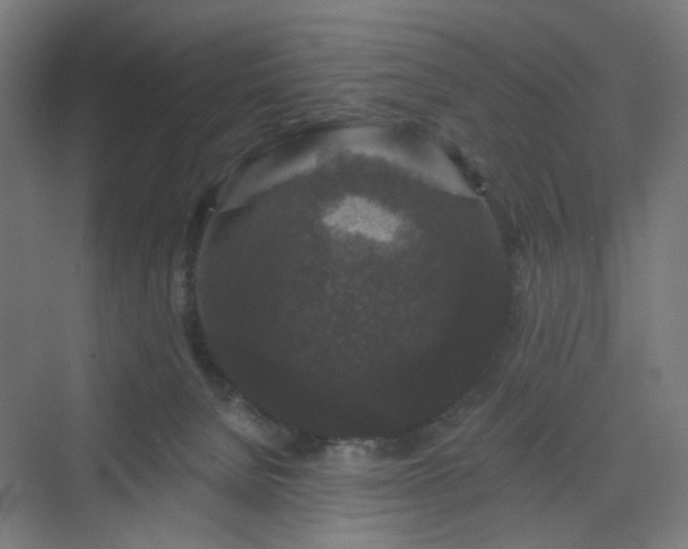 X0000070220080200606021332