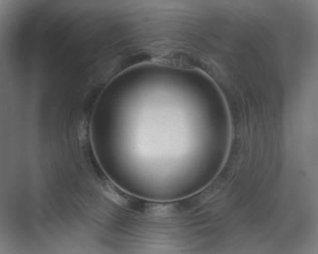 X0000070220081200606021332