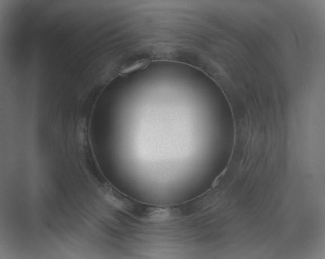 X0000070220083200606021332