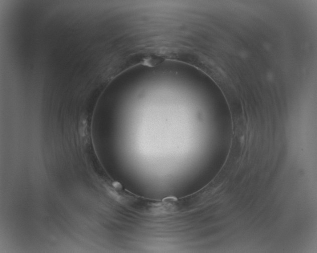 X0000070220087200606021332