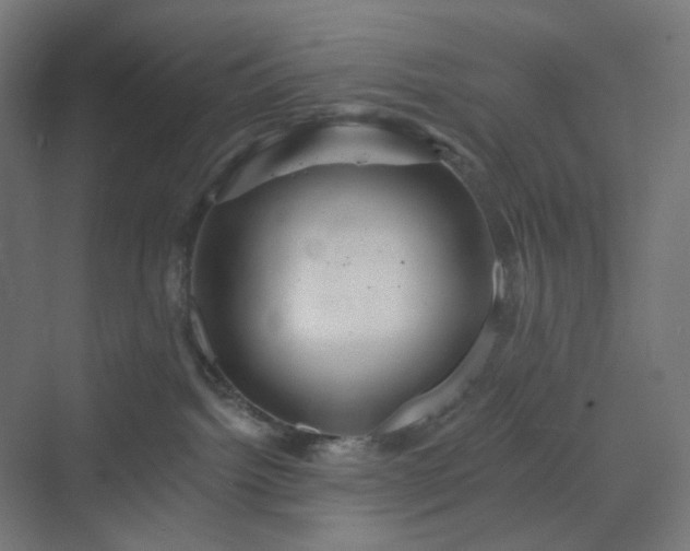 X0000070220092200606021332