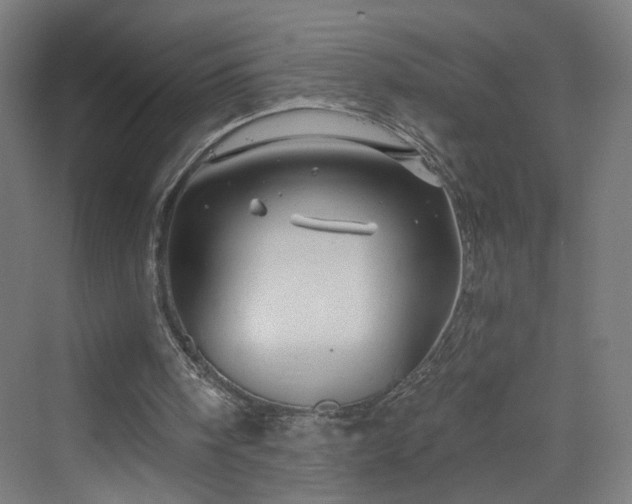 X0000070220098200606021332