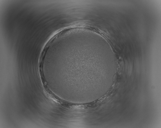 X0000070220100200606021332
