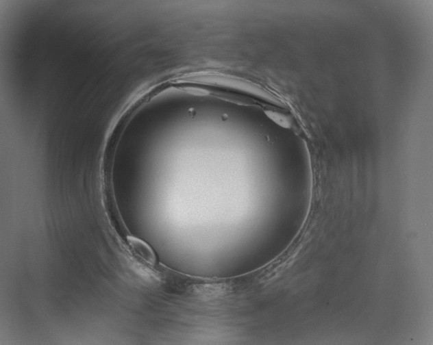 X0000070220102200606021332