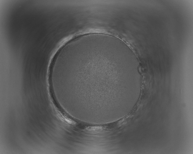 X0000070220104200606021331