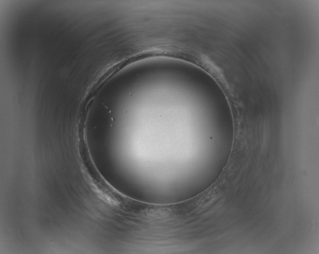 X0000070220106200606021331