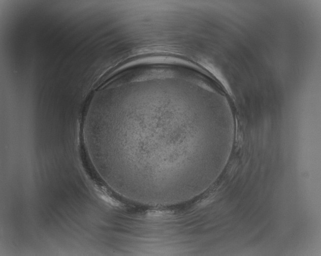 X0000070220109200606021331