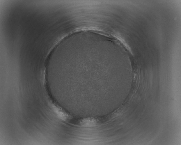 X0000070220110200606021331