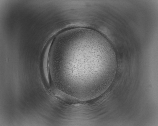 X0000070220111200606021331