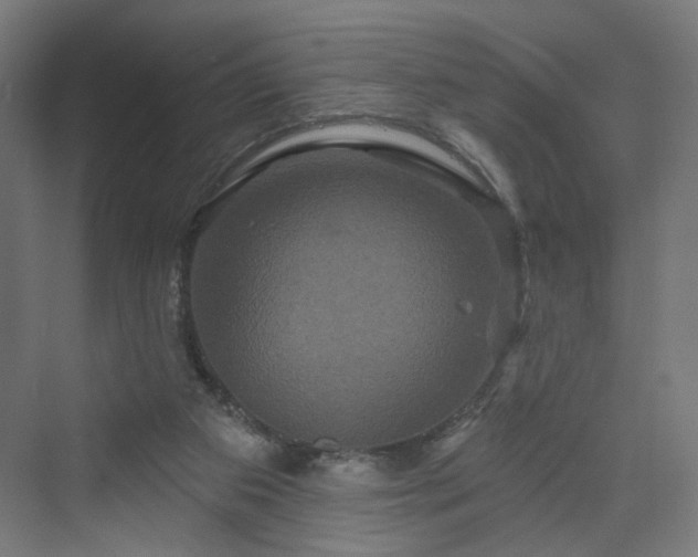 X0000070220113200606021331