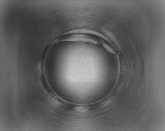 X0000070220117200606021331