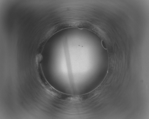 X0000070220118200606021331