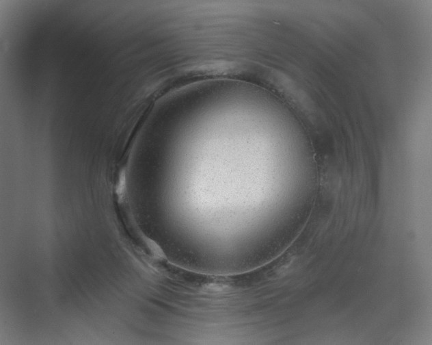 X0000070220119200606021331