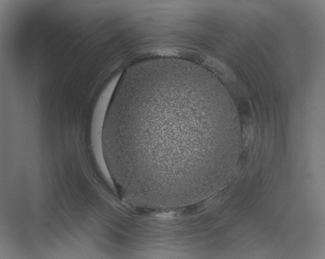 X0000070220120200606021331