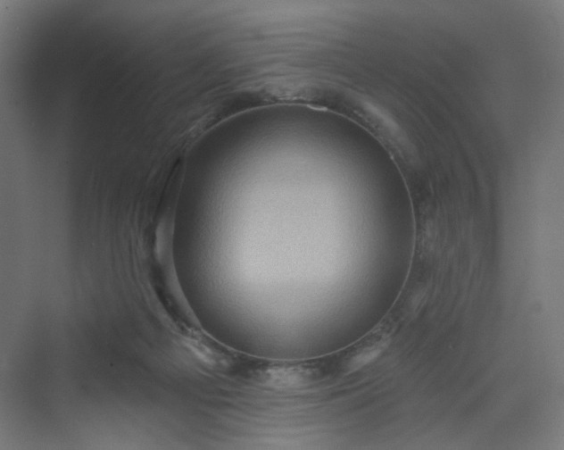 X0000070220121200606021331