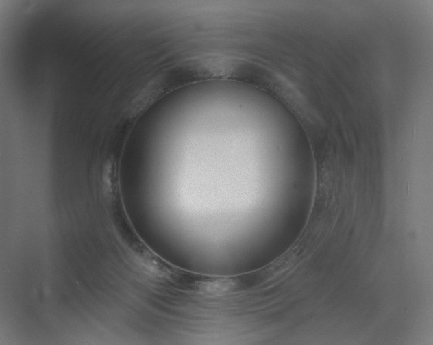 X0000070220122200606021331