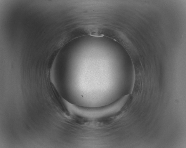 X0000070220125200606021331