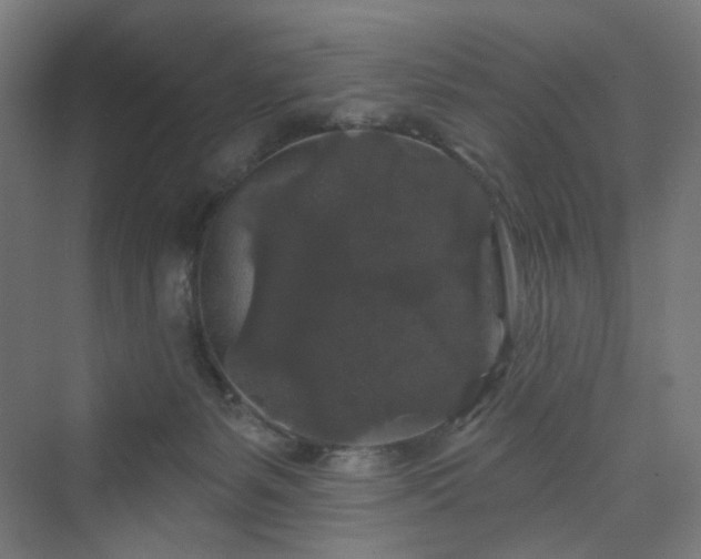 X0000070220127200606021331