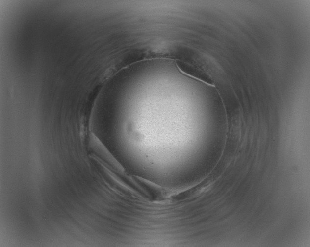 X0000070220135200606021331
