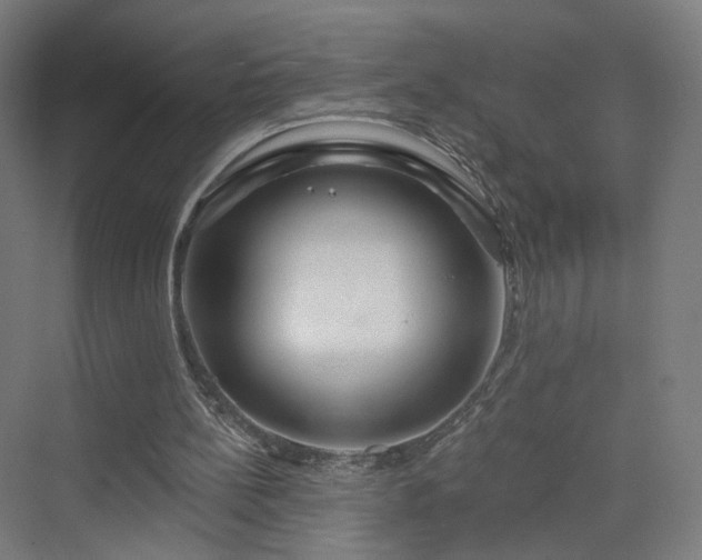 X0000070220148200606021330