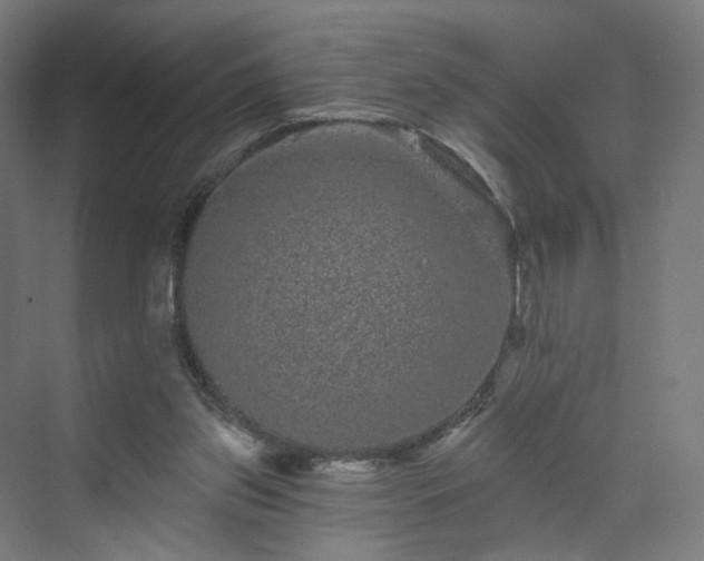 X0000070220157200606021330