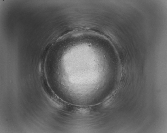 X0000070220166200606021330