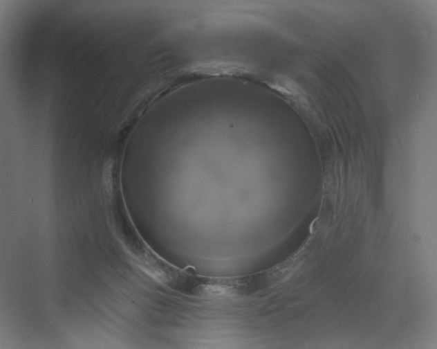 X0000070220167200606021330